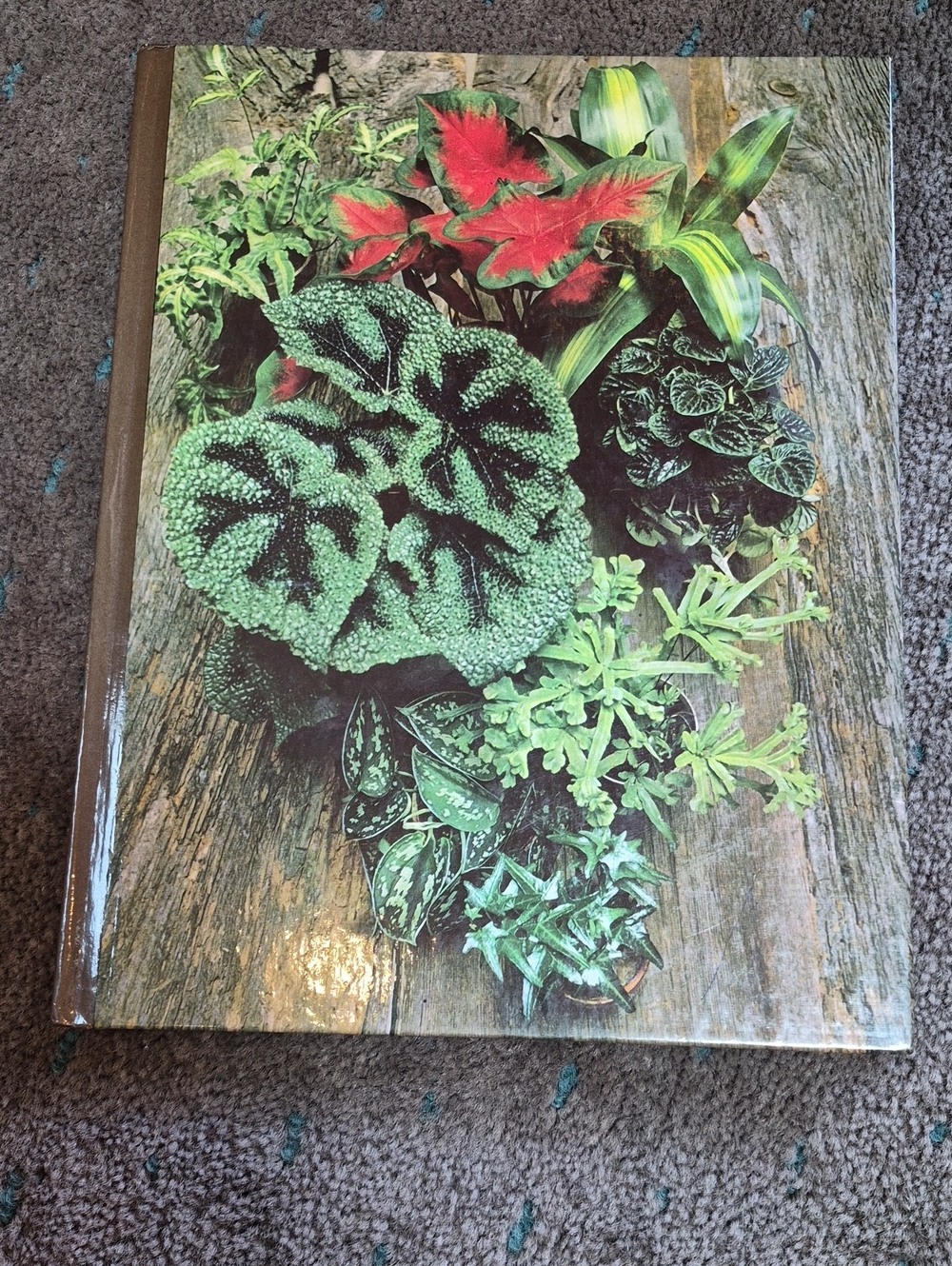 Botanical Decorative Hardcover Photo Book - Green and Red Plant Cover